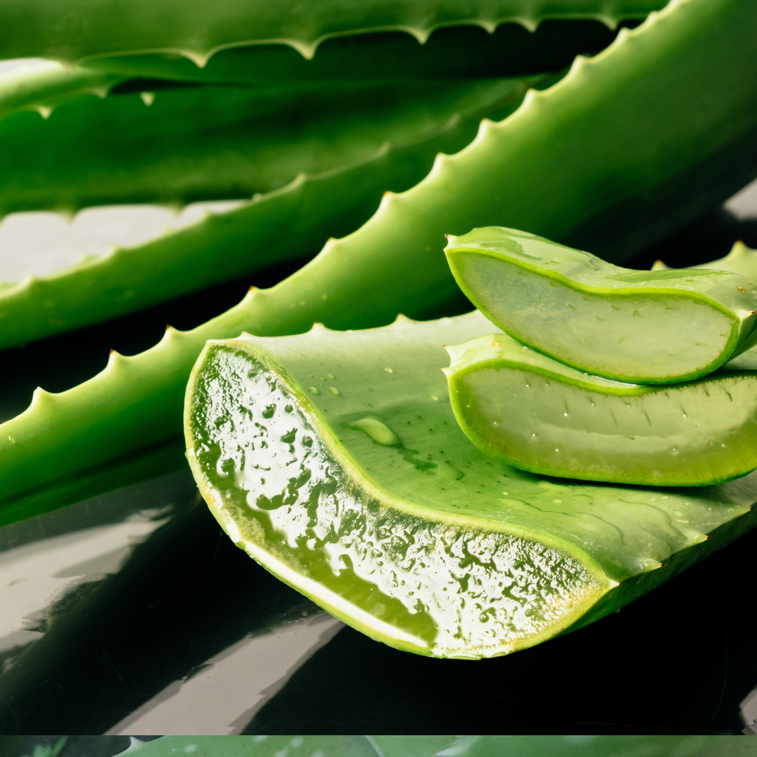 Aloe vera