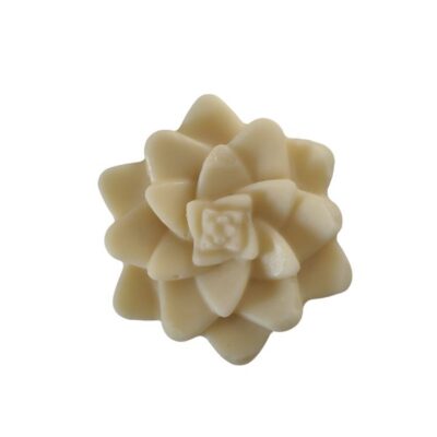 Bodylotion bar